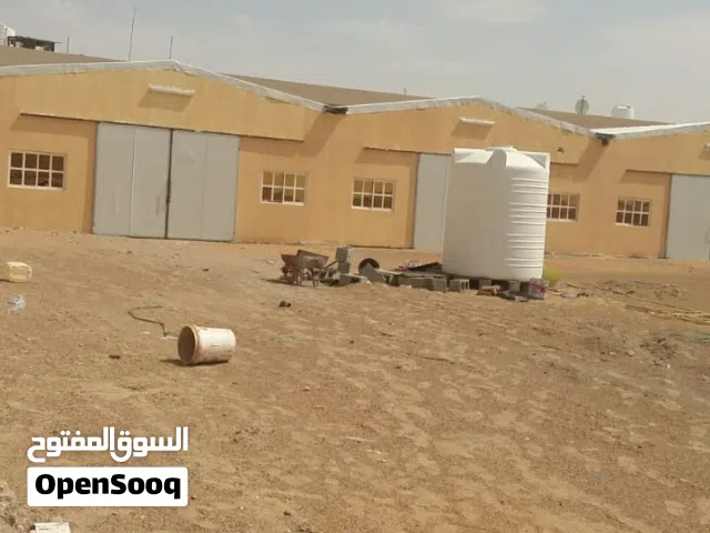 ارض للإيجار في الصناعيه الجديده العين