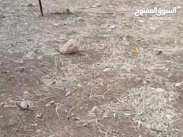 ارض مميزه منطقة شاليهات