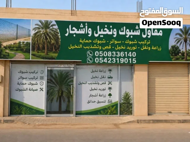 نخيل وجميع انواع الأشجار الزينه والمثمر جميع المقاسات والمواصفات