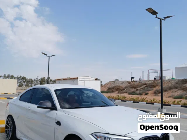 2015 BMW 2 Series 228i