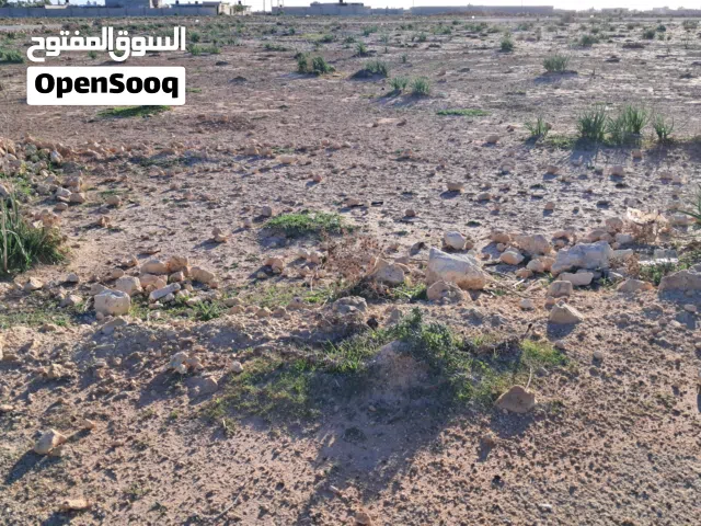 $بدون وسيط قطعة أرض المساحة  1000 و زيادة علي شارعين الكهرباء  واصله الجيران ما شاء الله