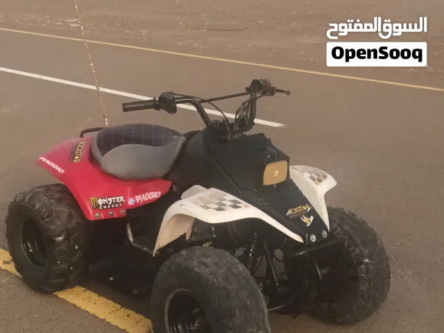 2026 Buggy All Models