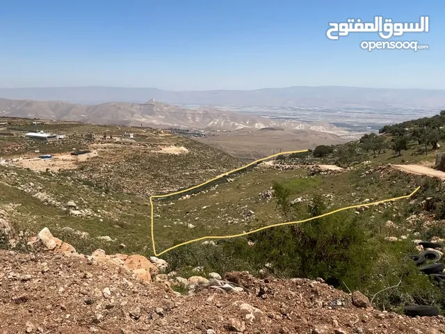 ارض للبيع دونم و200مترالمزرعه الغربيه