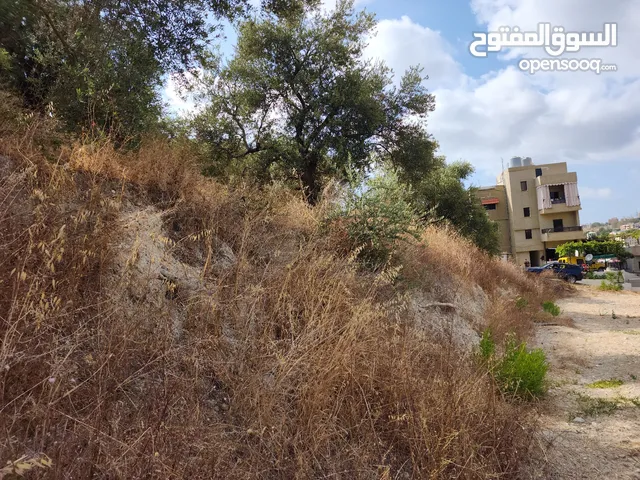 Residential Land for Sale in Sidon Ain Ed Delb