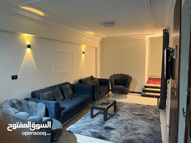 شقة فندقية مفروشه للايجار اليومى فى ميامى