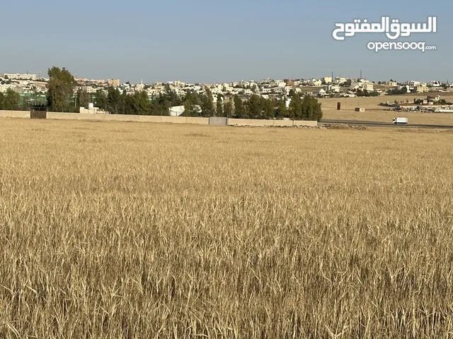 Farm Land for Sale in Amman Rujm ash Shami