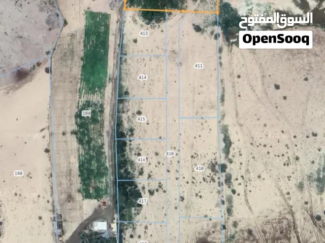 Farm Land for Sale in Al Dakhiliya Nizwa