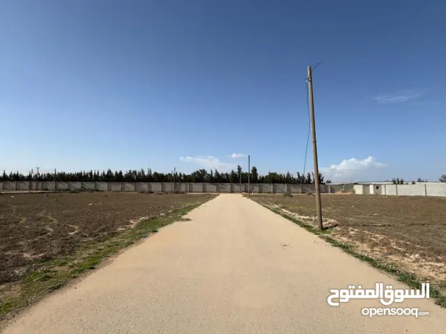 Residential Land for Sale in Misrata Tamina