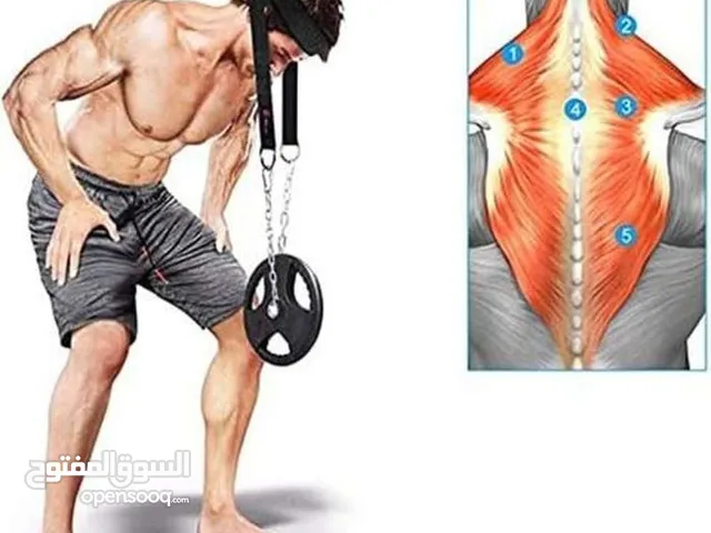 حمالة اثقال لتمارين الرأس و الرقبة