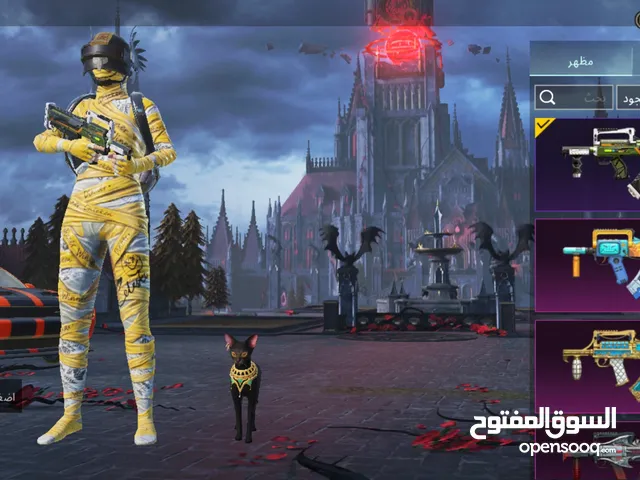 Pubg Accounts and Characters for Sale in Mafraq