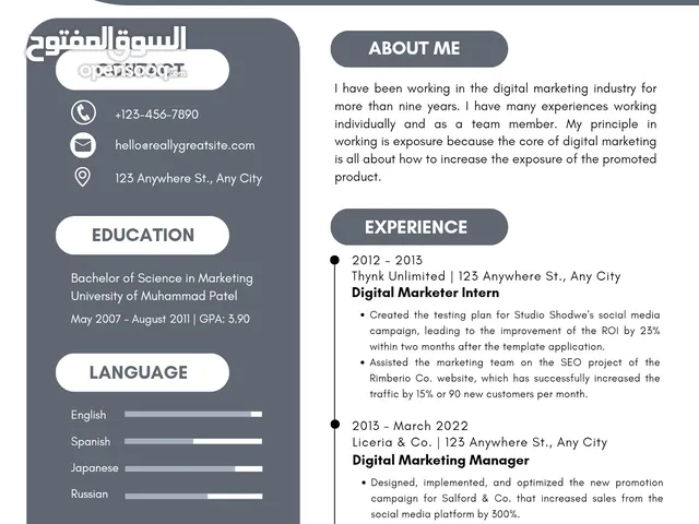 Professional CV Writing & Designing Services خدمة كتابة وتصميم السيرة الذاتية باحترافية