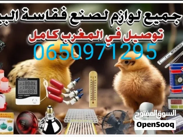 معدات الفقاسه لوازم تربيه جميع طيور