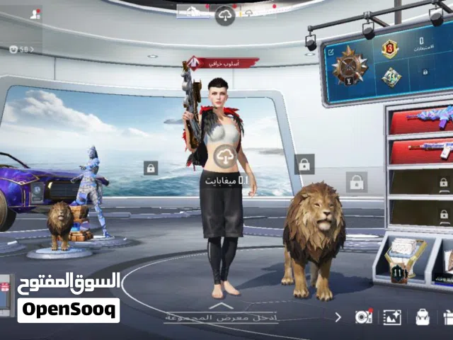 Pubg Accounts and Characters for Sale in Ma'an