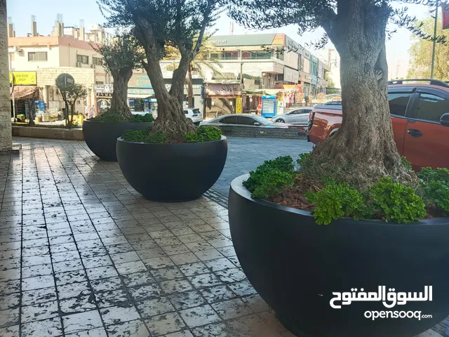 تفصيل قواوير فايبر جلاس بشكل عصري أنيق  وزراعة وتسميد جميع النبات الداخلي بإشراف مهندسين زراعيين