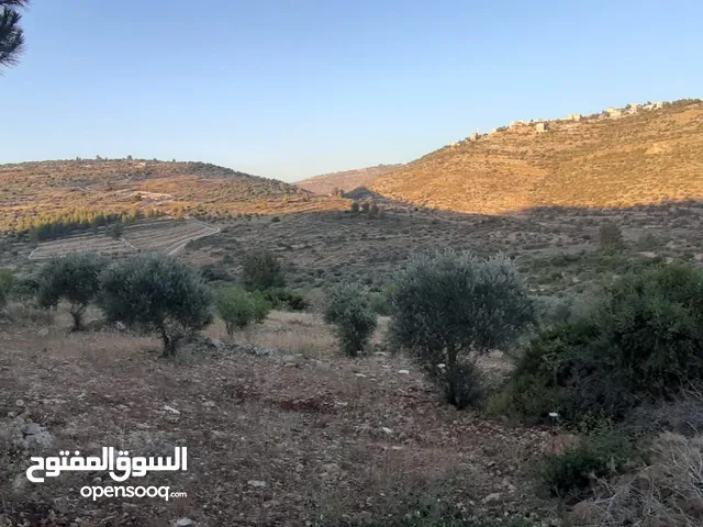 قطعة ارض للبيع بسعر جدا مغري تصنيف A