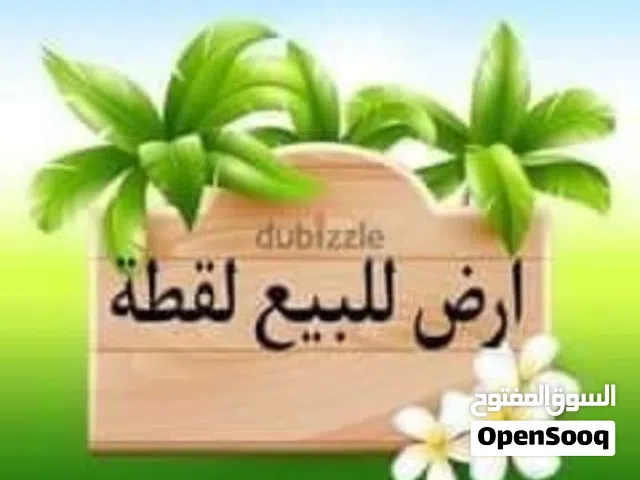 قطعه ارض للبيع في كينج مريوط الاسكندريه جمعية البنوك