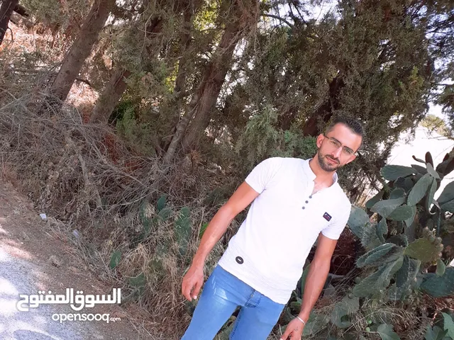 محمد وحيد حموي