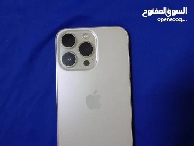 13 pro 256 gb