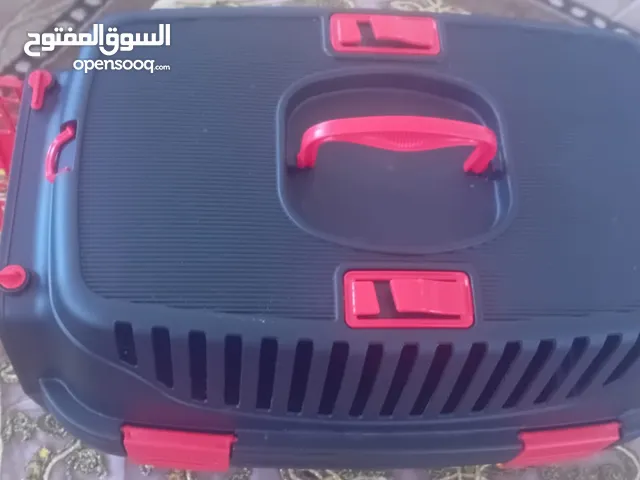 لنقل القطط