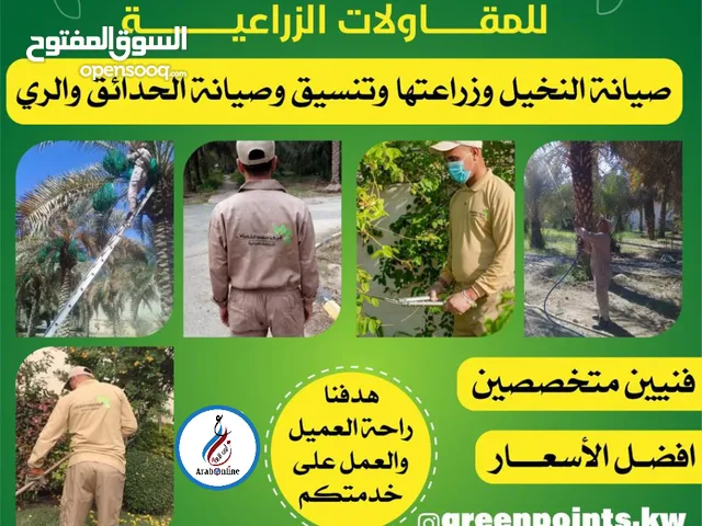 زراعة النخيل وتنسيق حديقة و الري صيانة النباتات والنخيل والأشجار يوجد فنيين متخصصين عقود سنوية وشهري