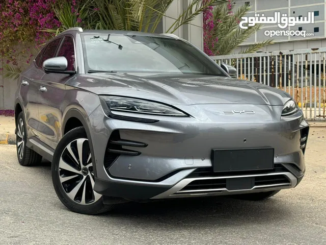 Byd song champion اعلى صنف