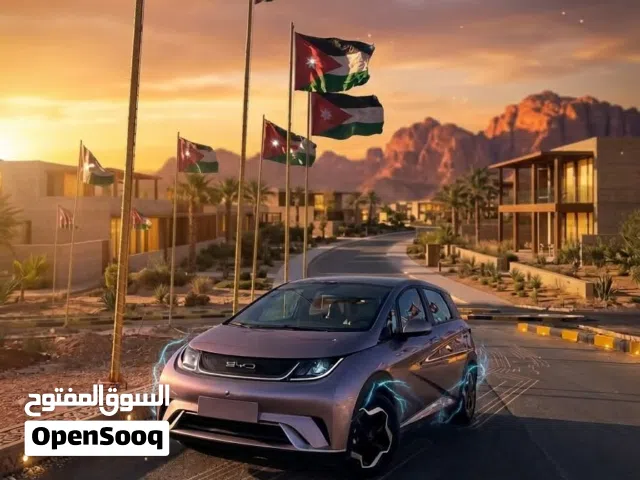 2022 بي واي دي دولفين