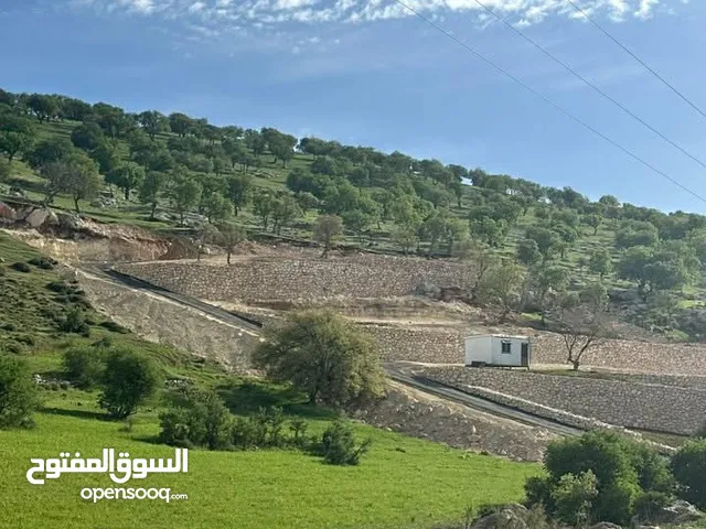 Farm Land for Sale in Zarqa Sarout