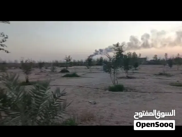 Farm Land for Sale in Basra Other