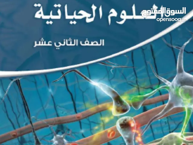 Other in Amman