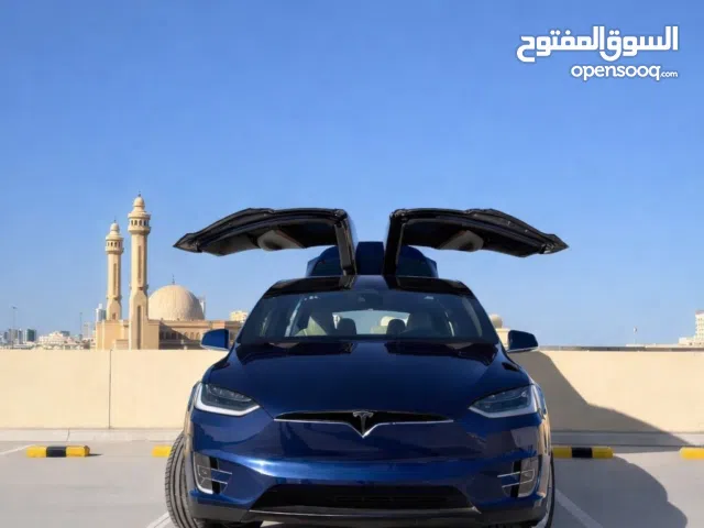 2019 Tesla Model X Performance
