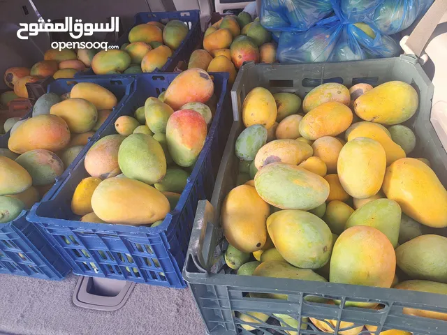 متخصصون في اصناف المانجو بجميع اشكاله واحجامه نتواجد في سوق السيب بلقرب من سوق السمك بشكل يومي