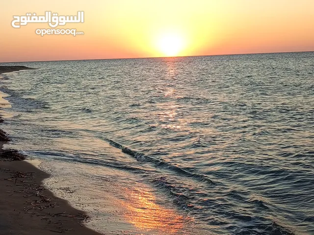 عرايشة الإيجار
