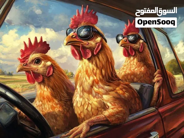 فرصة ذهبية للاستثمار في قطاع المطاعم داخل السعودية