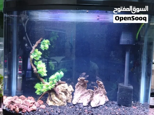 حوض سمك اجنبي للبيع
