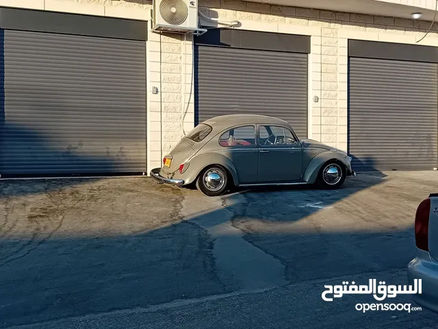 محلات للإيجار