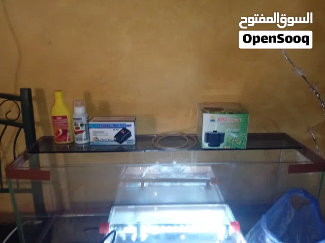 حوض سمك مستعمل لمدة أسبوع