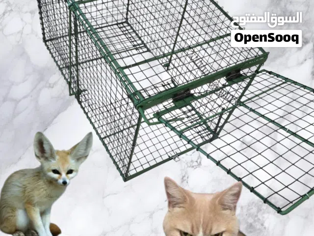قفص مصيدة قطط