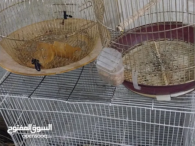 أقفاص للبيع نظيفات جدا
