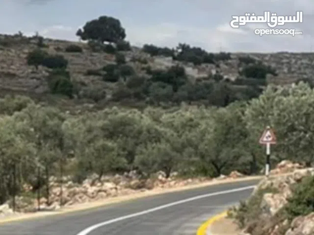 قطعه 2 دونم تيجاري ع اشارع الريسي مساحه 2دونم في دير ابزيع