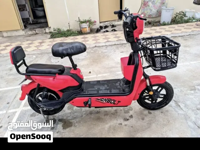 CITY RIDER ELECTRIC SCOOTER