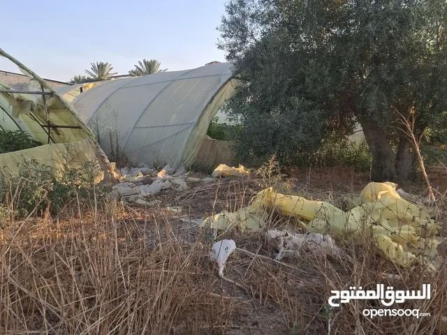 صوبات زراعيه