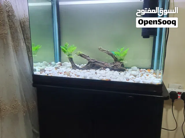 حوض سمك للبيع