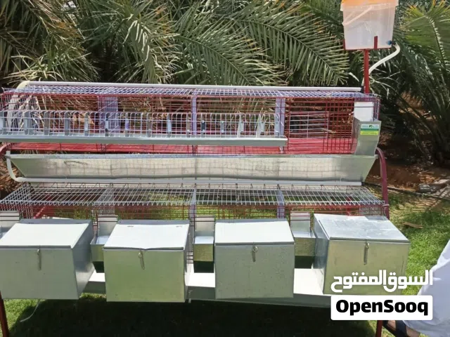 رابتكو للتجارة العامة