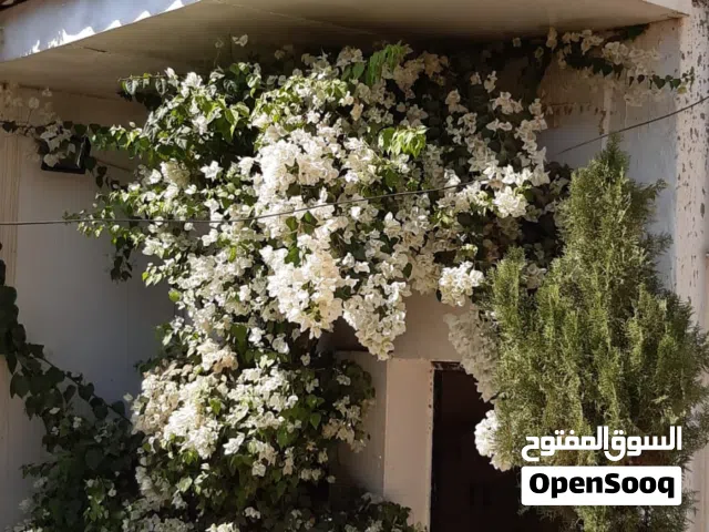 80 m2 2 Bedrooms Apartments for Rent in Khartoum Omdurman