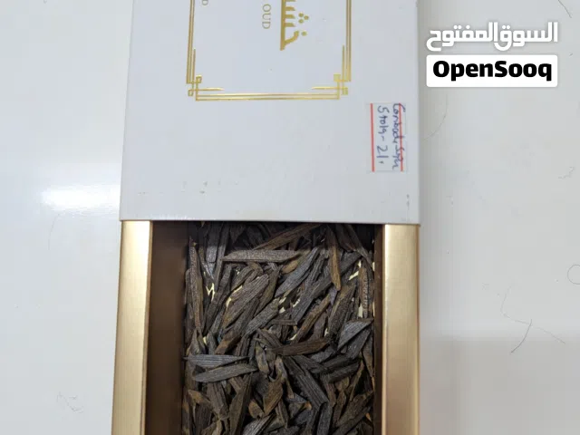 عود كمبودي من احمد المغربي