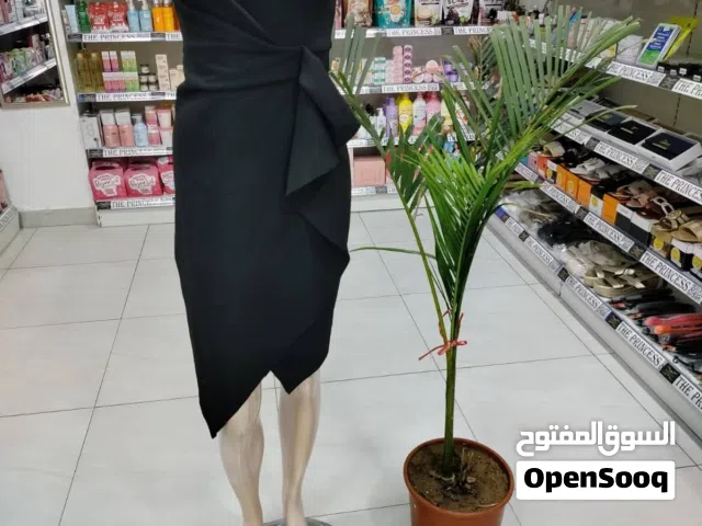 الأميرة للعطور ومستحضرات التجميل والمنتجات الآسيوية