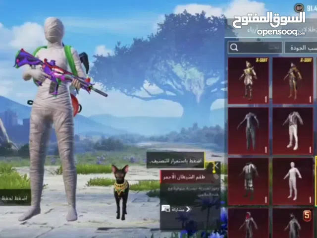 Pubg Accounts and Characters for Sale in Jalu