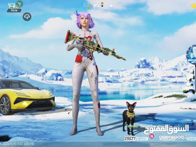 PUBG good account for sale collection level 72 very good inventory