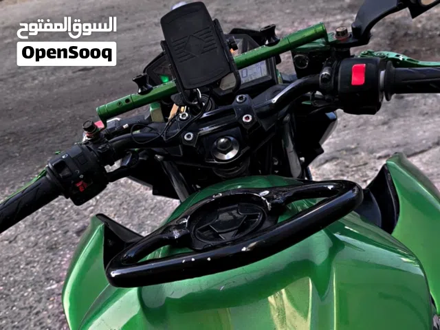 2017 Kawasaki Ninja 300