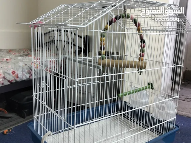 قفص عصفير بحاله جديدة